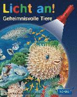 Meyers kleine Kinderbibliothek - Licht an!, Inbunden