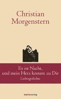 bokomslag Es ist Nacht, und mein Herz kommt zu Dir
