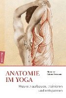 bokomslag Anatomie im Yoga
