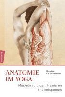 bokomslag Anatomie im Yoga