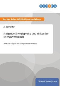 bokomslag Steigende Energiepreise und sinkender Energieverbrauch