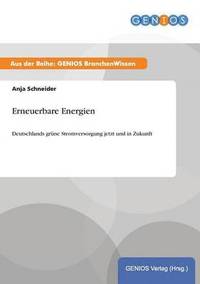 bokomslag Erneuerbare Energien