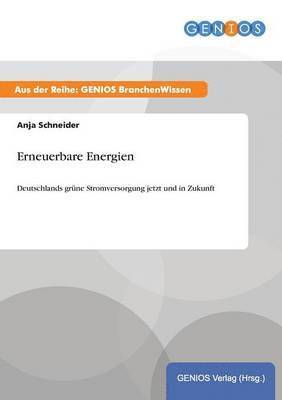 bokomslag Erneuerbare Energien