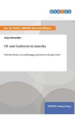 bokomslag l- und Gasboom in Amerika