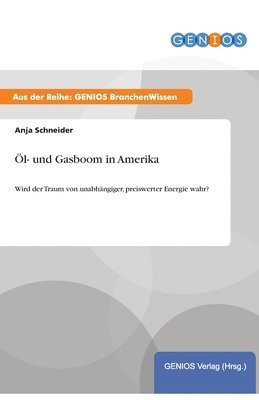 bokomslag Öl- und Gasboom in Amerika