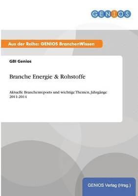 bokomslag Branche Energie & Rohstoffe