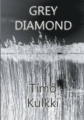 Timo Kulkki - Grey Diamond, Häftad