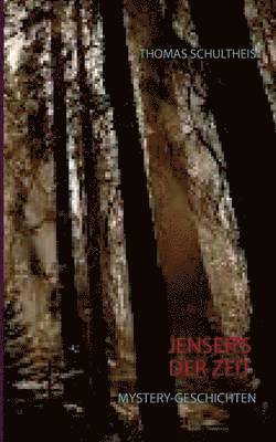 Thomas Schultheis - Jenseits der Zeit, Häftad