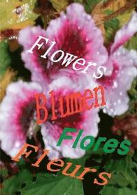 bokomslag Flowers Blumen Fleurs Flores