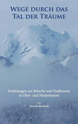 bokomslag Wege durch das Tal der Träume