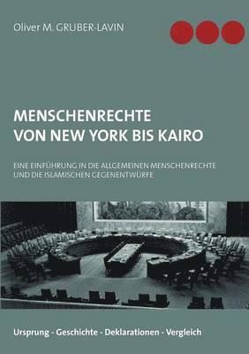 bokomslag Menschenrechte von New York bis Kairo