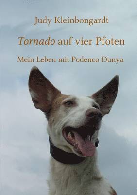 bokomslag Tornado auf vier Pfoten