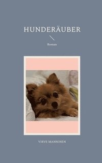 bokomslag Hunderäuber