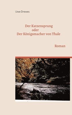 Uwe Drewes - Katzensprung, Häftad