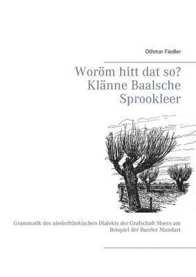 bokomslag Woröm hitt dat so? Klänne Baalsche Sprookleer: Grammatik des niederfränkischen Dialekts der Grafschaft Moers am Beispiel der Baerler Mundart
