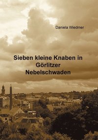 bokomslag Sieben kleine Knaben in Grlitzer Nebelschwaden