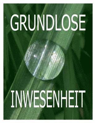 bokomslag Grundlose Inwesenheit