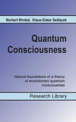 Quantum Consciousness 1