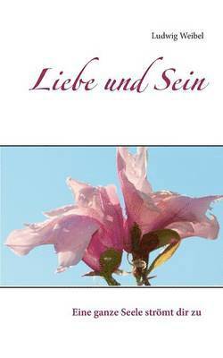 Ludwig Weibel - Liebe und Sein, Häftad