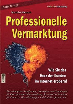 bokomslag Professionelle Vermarktung und Kampagnengestaltung im Internet