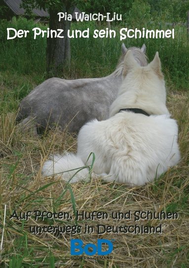 bokomslag Der Prinz und sein Schimmel