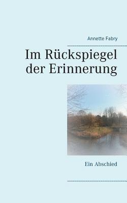 Annette Fabry - Im Rückspiegel der Erinnerung, Häftad