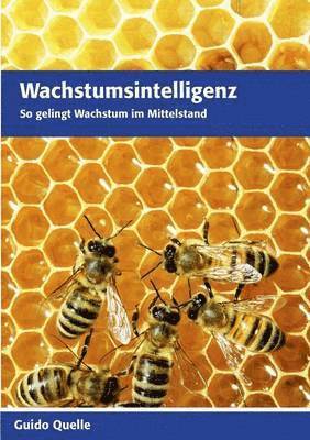 Guido Quelle - Wachstumsintelligenz, Häftad