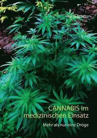bokomslag Cannabis im medizinischen Einsatz