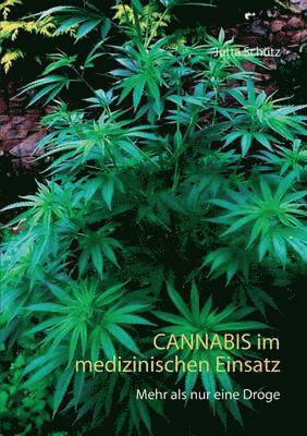 Cannabis im medizinischen Einsatz 1