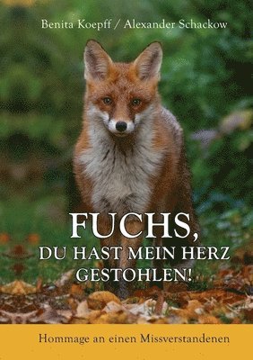 bokomslag Fuchs, du hast mein Herz gestohlen!