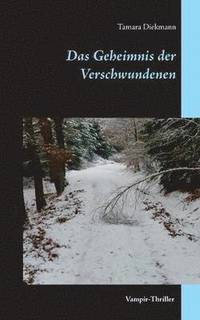 bokomslag Geheimnis der Verschwundenen