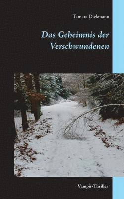 bokomslag Geheimnis der Verschwundenen