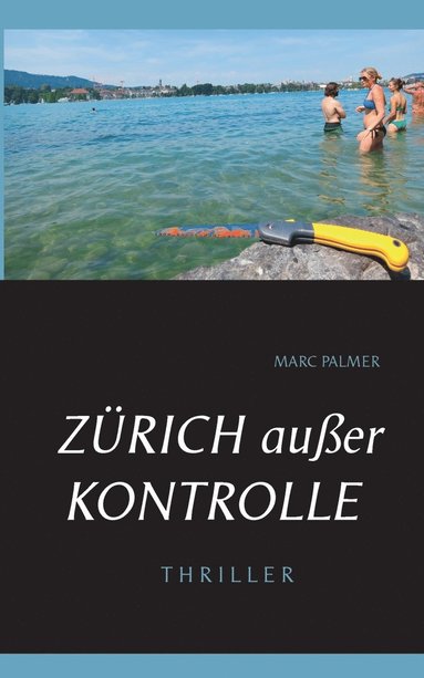 bokomslag Zürich außer Kontrolle