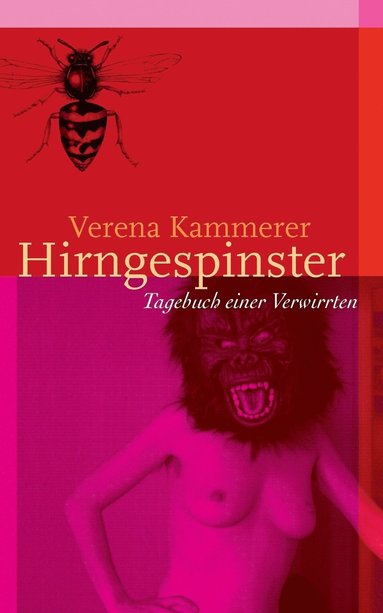 bokomslag Hirngespinster