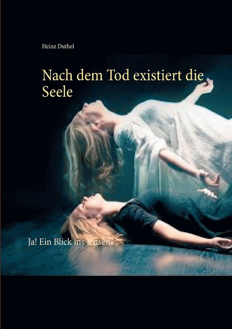 Heinz Duthel - Nach dem Tod existiert die Seele, Häftad