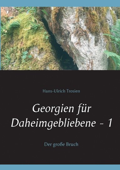 bokomslag Georgien für Daheimgebliebene - 1