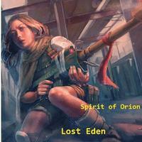 bokomslag Spirit of Orion