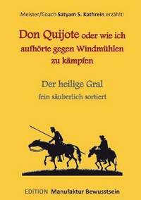 bokomslag Don Quijote oder wie ich aufhrte gegen Windmhlen zu kmpfen