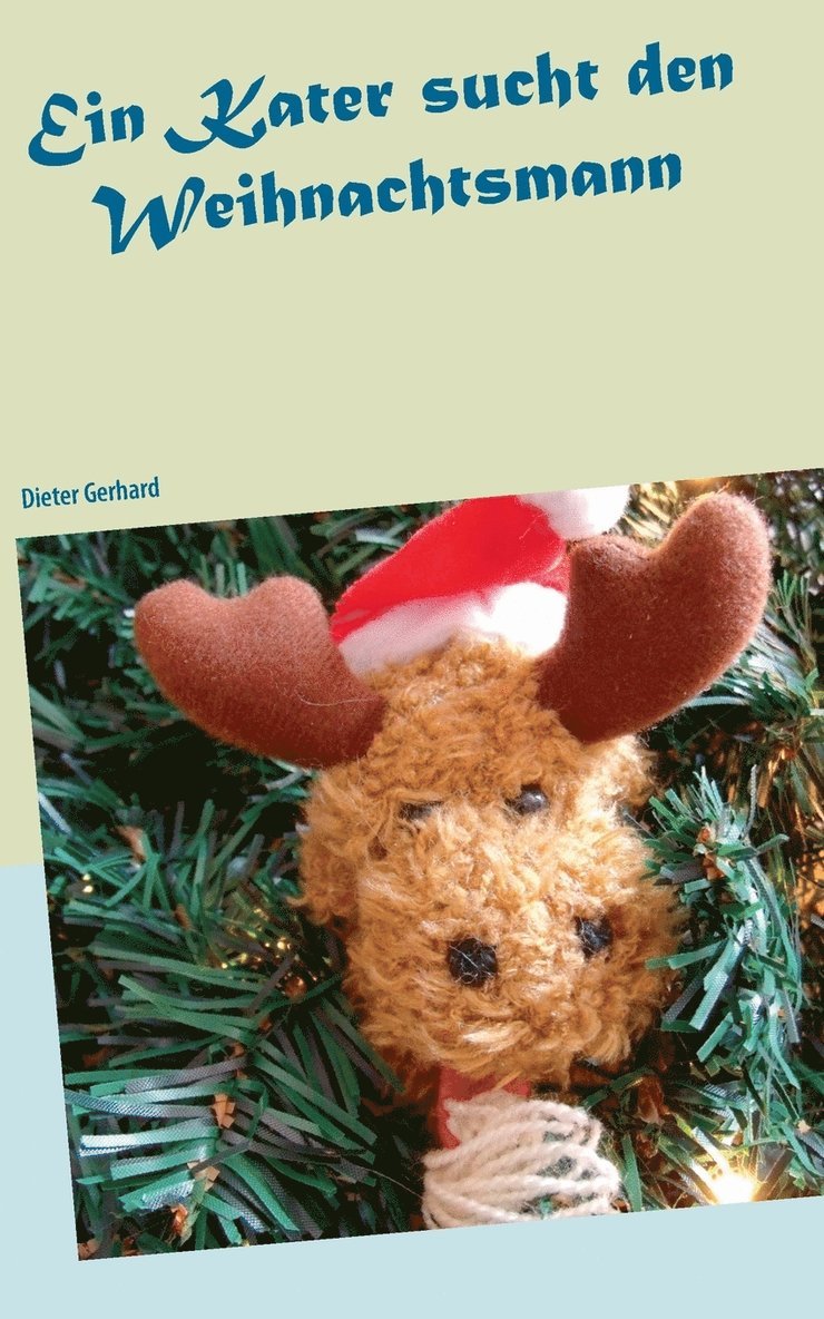 Kater sucht den Weihnachtsmann