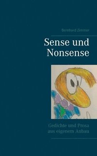 bokomslag Sense und Nonsense