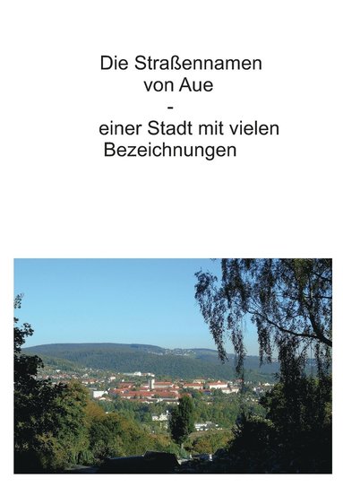 bokomslag Straßennamen von Aue