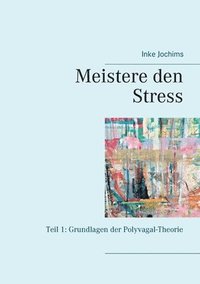 bokomslag Meistere den Stress