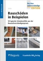 bokomslag Bauschäden in Beispielen.