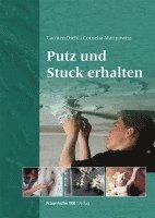 bokomslag Putz und Stuck erhalten