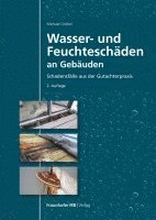 bokomslag Wasser- und Feuchteschäden an Gebäuden