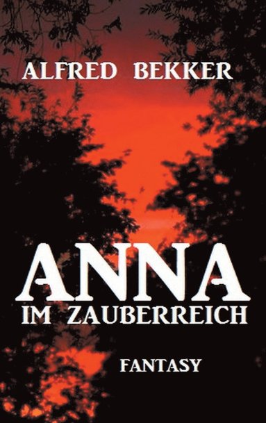 bokomslag Anna im Zauberreich