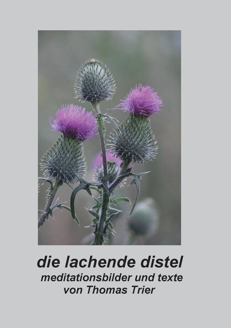 Die lachende Distel 1