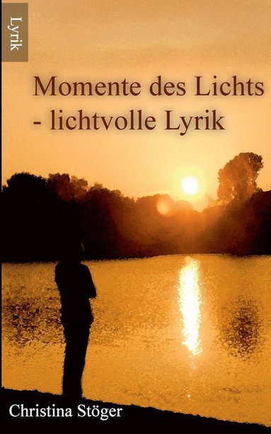 bokomslag Momente des Lichts