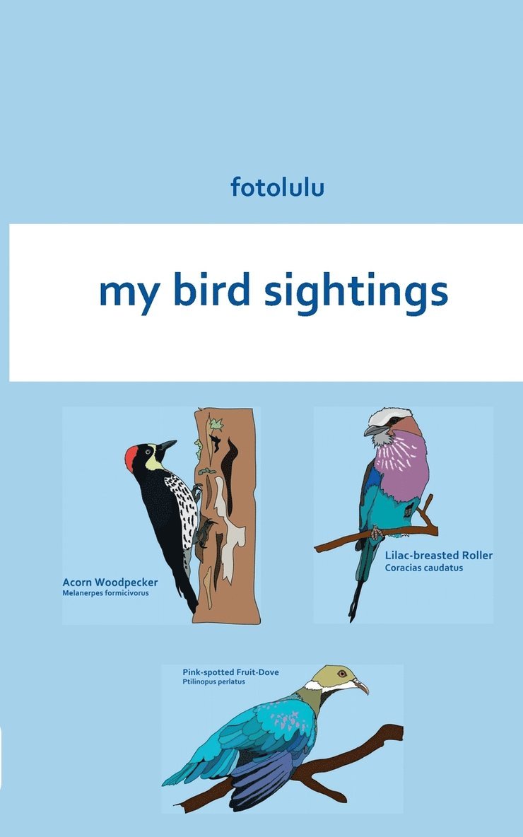 my bird sightings 1