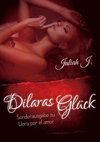 bokomslag Llora por el amor 9 - Dilaras Glück